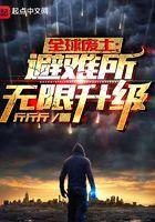 全球废土避难所无限升级笔