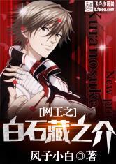 网王之白石藏之介风子小白
