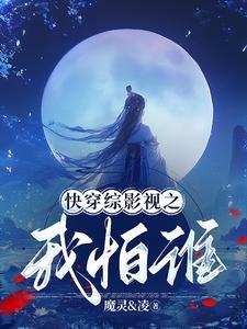 综影视类快穿