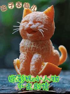 综影视含小