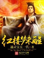 红楼梦未完
