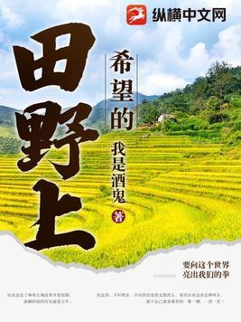 在希望的田野歌词简谱图片