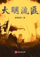大明流匪TXT八零