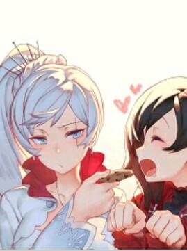 大师姐弃疗了飞鱼网