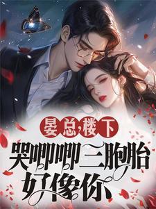 总裁的白月光回国了