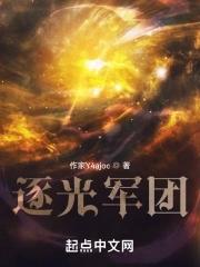 逐光者全文免费无弹窗阅读