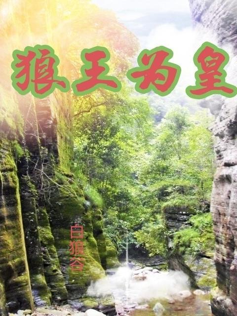 狼王阅读