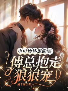 小可怜被偏执大佬抱走了全文免费阅读