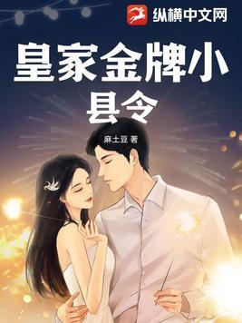 皇家金牌县令TXT奇书网