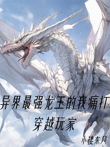 白金龙王和安兹对战在第几章