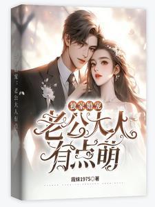 独家婚宠老公别乱来全文免费