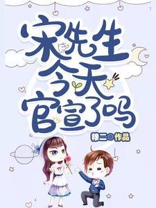 宋先生原来是这样的