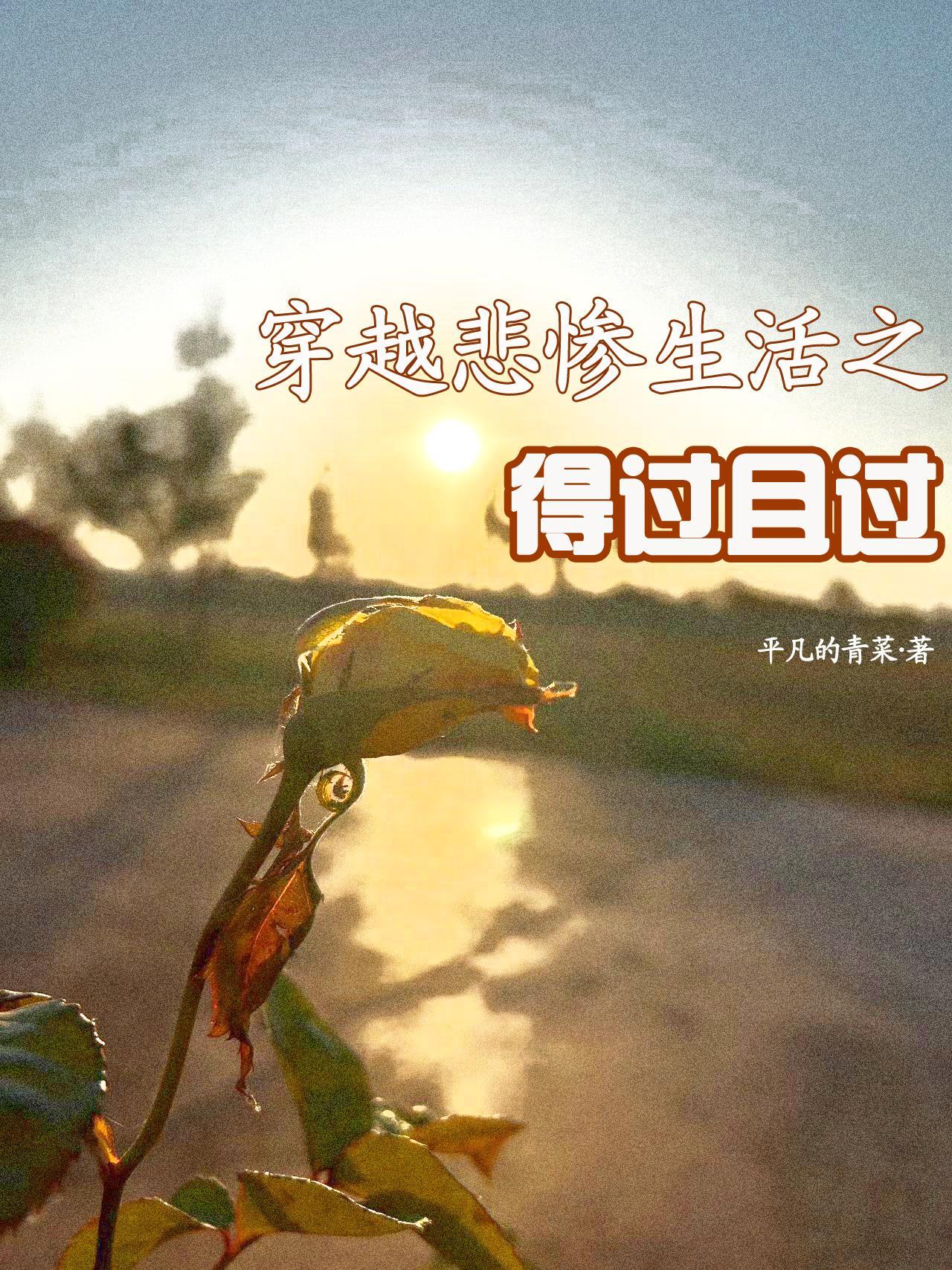 我悲惨的穿越生活