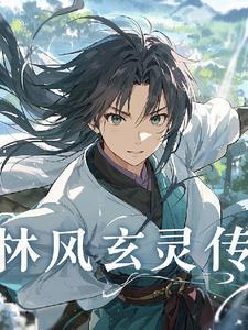 主人公是林玄的