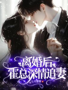 霍总追妻太辛苦