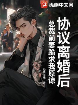 总裁离婚吧前妻很难追