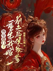 重生后前夫成了我外室