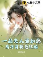 一品夫人全文免费阅读