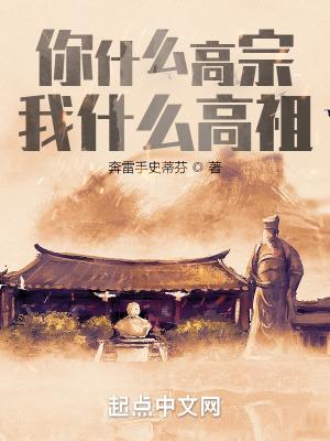 穿越宋高宗有哪些