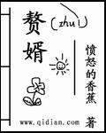 赘婿剧情介绍